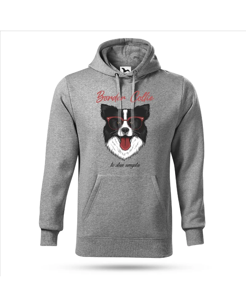 Bluza damska, Border Collie, Prezent